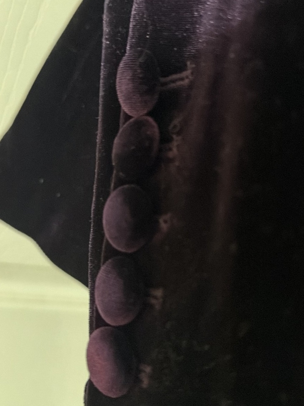 Velvet Jacket with pant suit Fabric-Covered Buttons - Deep Plum